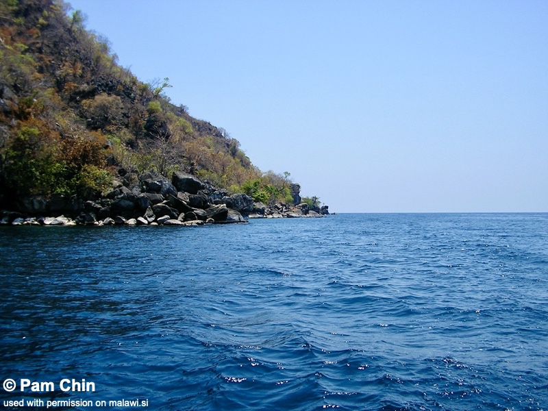 Lion's Cove 07